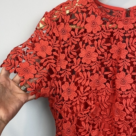 M&S Collection • Lace Sheath Short Sleeve Bodycon Midi Dress - Picture 11 of 16